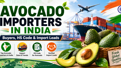 avocado-importers-in-india