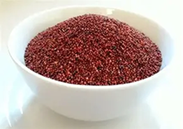 Ragi / Finger Millet
