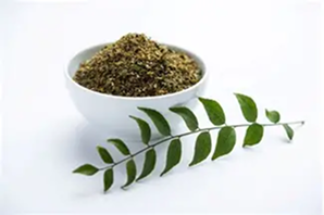 Dehydrated Curry Leaves Powder