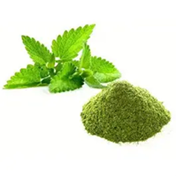 Dehydrated Mint Powder