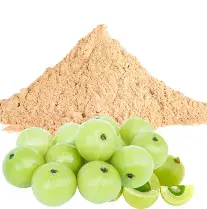 Dehydrated Amla Powder / Indian Gooseberry Powder